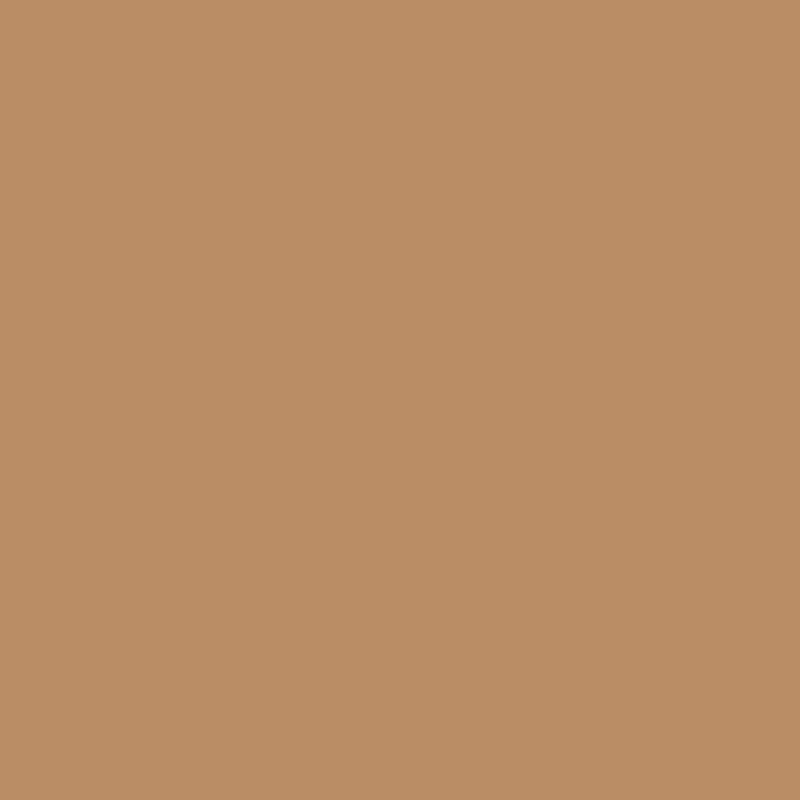 1139 Harbor Highlands Tan